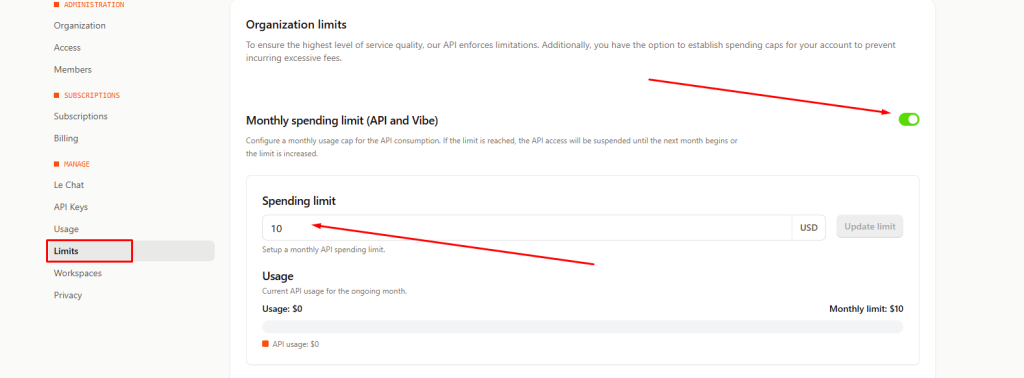 Set a maximum monthly spending limit for your Mistral API key